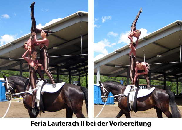 Feria Lauterach II auf Pikeldi