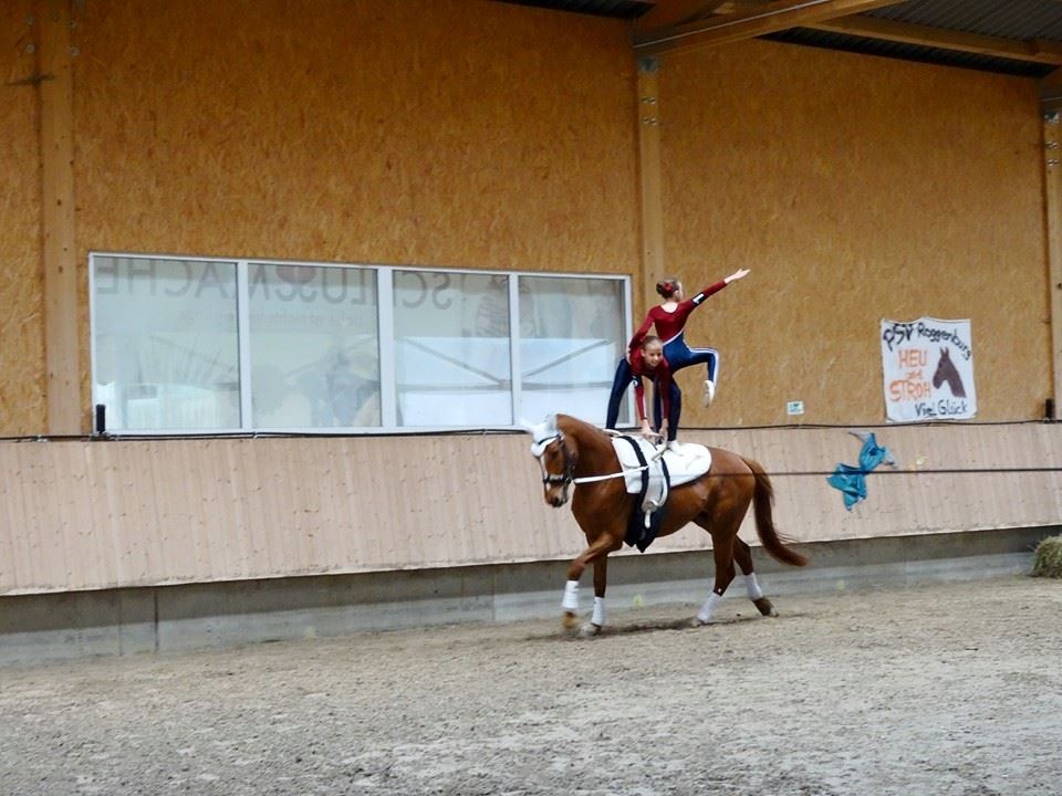 Feria Lauterach III auf Borys